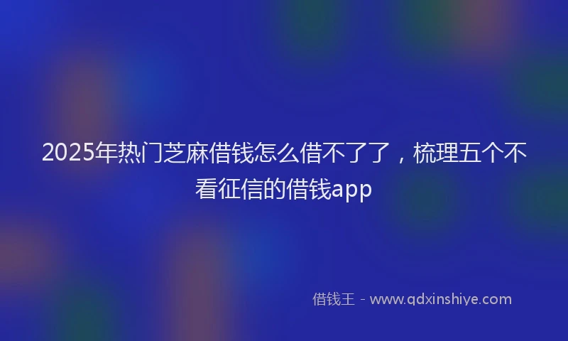 2025年热门芝麻借钱怎么借不了了，梳理五个不看征信的借钱app