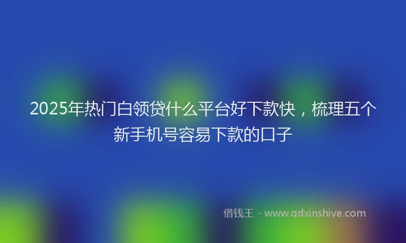 2025年热门白领贷什么平台好下款快，梳理五个新手机号容易下款的口子