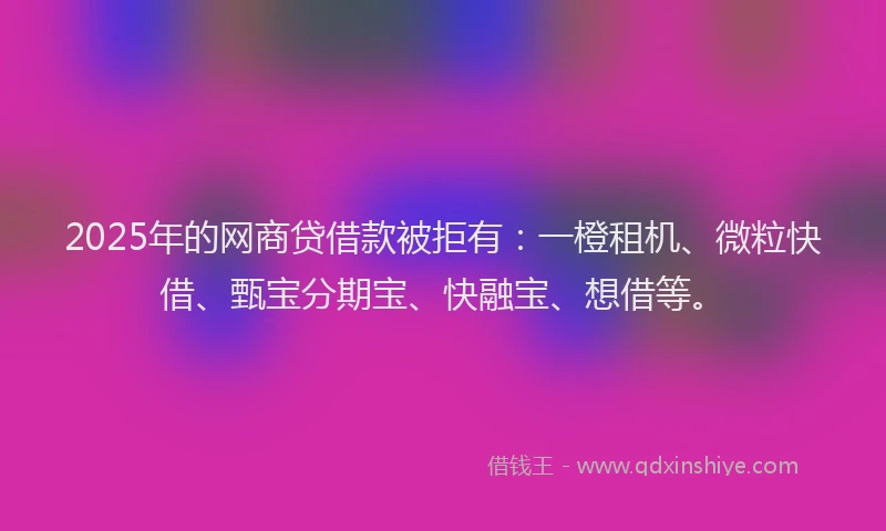 2025年的网商贷借款被拒有：一橙租机、微粒快借、甄宝分期宝、快融宝、想借等。