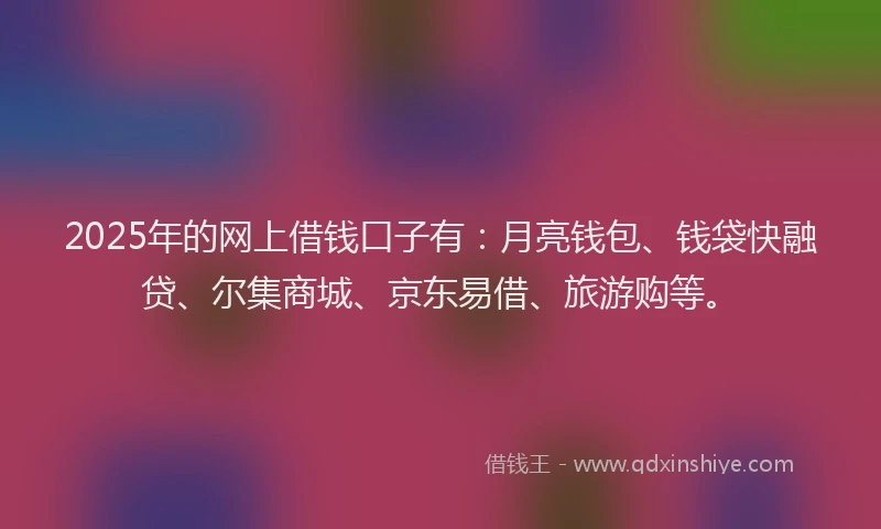 2025年的网上借钱口子有：月亮钱包、钱袋快融贷、尔集商城、京东易借、旅游购等。