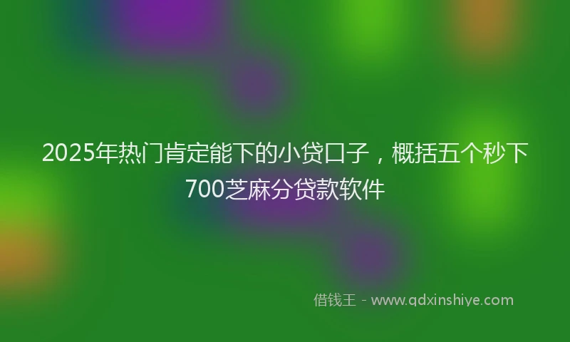 2025年热门肯定能下的小贷口子，概括五个秒下700芝麻分贷款软件