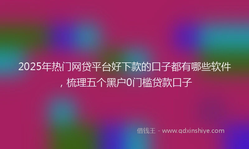 2025年热门网贷平台好下款的口子都有哪些软件，梳理五个黑户0门槛贷款口子