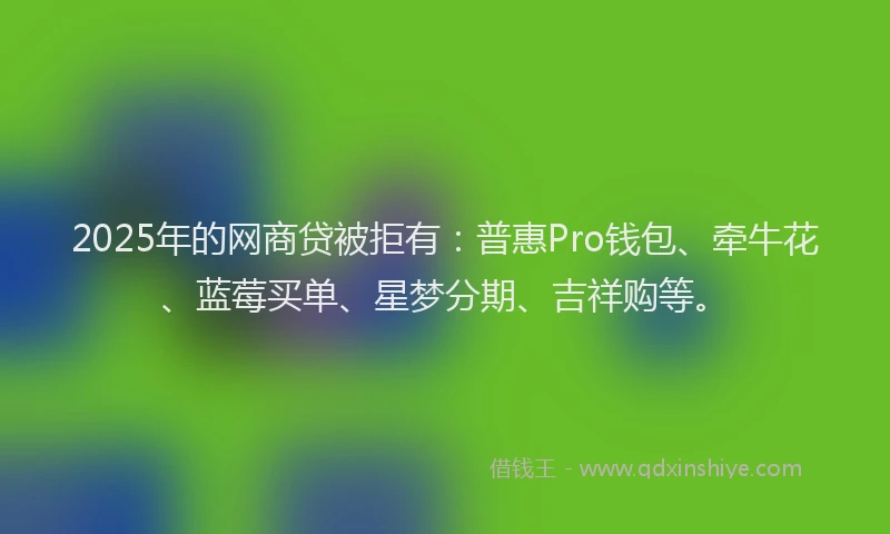 2025年的网商贷被拒有：普惠Pro钱包、牵牛花、蓝莓买单、星梦分期、吉祥购等。