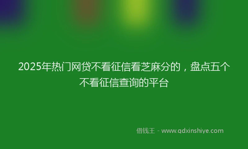 2025年热门网贷不看征信看芝麻分的，盘点五个不看征信查询的平台
