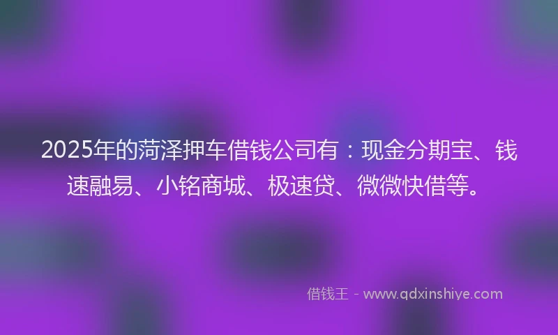 2025年的菏泽押车借钱公司有：现金分期宝、钱速融易、小铭商城、极速贷、微微快借等。