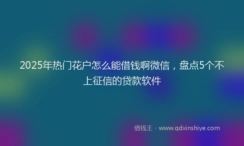 2025年热门花户怎么能借钱啊微信，盘点5个不上征信的贷款软件