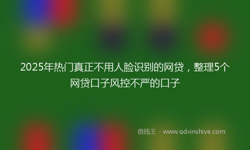 2025年热门真正不用人脸识别的网贷，整理5个网贷口子风控不严的口子
