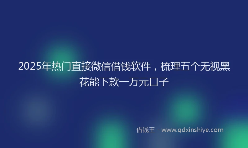 2025年热门直接微信借钱软件，梳理五个无视黑花能下款一万元口子