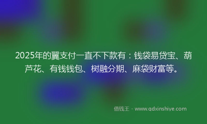 2025年的翼支付一直不下款有：钱袋易贷宝、葫芦花、有钱钱包、树融分期、麻袋财富等。