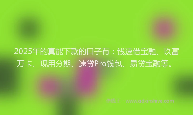 2025年的真能下款的口子有：钱速借宝融、玖富万卡、现用分期、速贷Pro钱包、易贷宝融等。