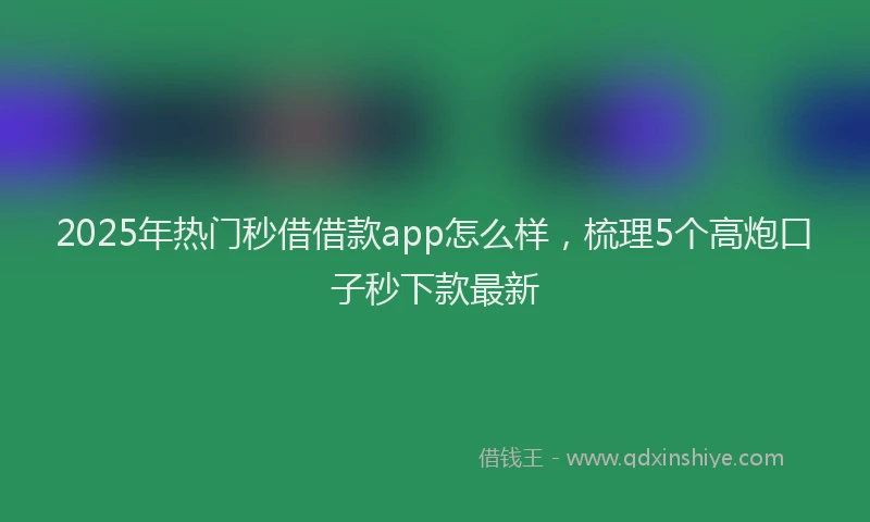2025年热门秒借借款app怎么样，梳理5个高炮口子秒下款最新