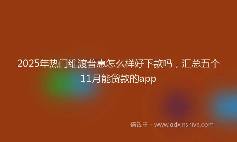 2025年热门维渡普惠怎么样好下款吗，汇总五个11月能贷款的app
