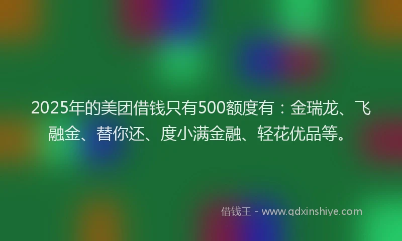 2025年的美团借钱只有500额度有：金瑞龙、飞融金、替你还、度小满金融、轻花优品等。