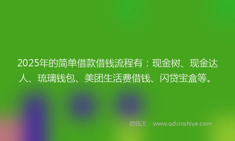 2025年的简单借款借钱流程有：现金树、现金达人、琉璃钱包、美团生活费借钱、闪贷宝盒等。