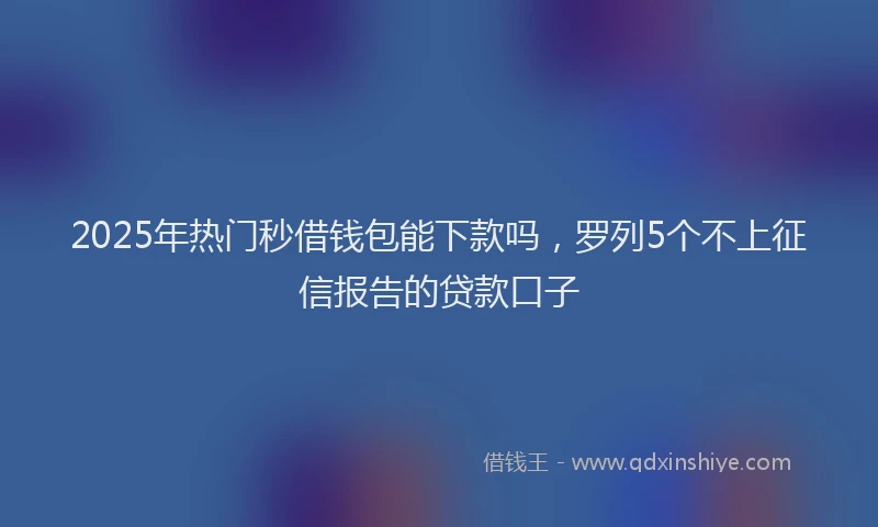 2025年热门秒借钱包能下款吗，罗列5个不上征信报告的贷款口子
