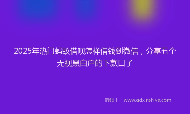 2025年热门蚂蚁借呗怎样借钱到微信，分享五个无视黑白户的下款口子