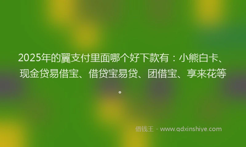 2025年的翼支付里面哪个好下款有：小熊白卡、现金贷易借宝、借贷宝易贷、团借宝、享来花等。