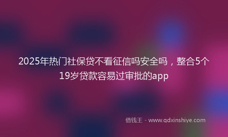 2025年热门社保贷不看征信吗安全吗，整合5个19岁贷款容易过审批的app