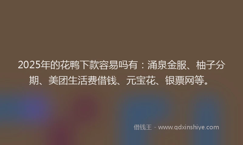 2025年的花鸭下款容易吗有：涌泉金服、柚子分期、美团生活费借钱、元宝花、银票网等。