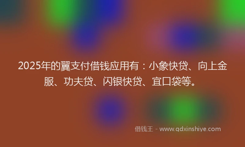 2025年的翼支付借钱应用有：小象快贷、向上金服、功夫贷、闪银快贷、宜口袋等。