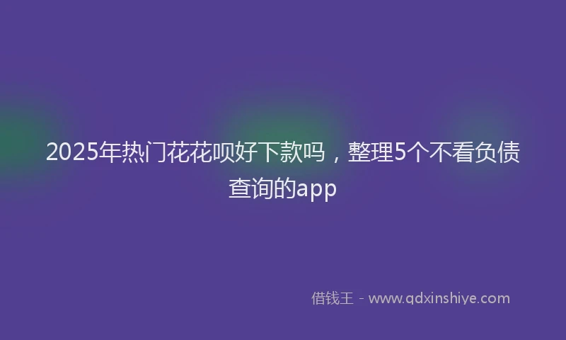 2025年热门花花呗好下款吗，整理5个不看负债查询的app