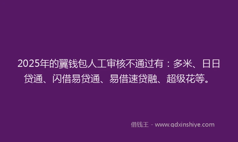 2025年的翼钱包人工审核不通过有：多米、日日贷通、闪借易贷通、易借速贷融、超级花等。