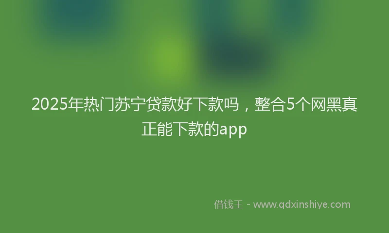 2025年热门苏宁贷款好下款吗，整合5个网黑真正能下款的app