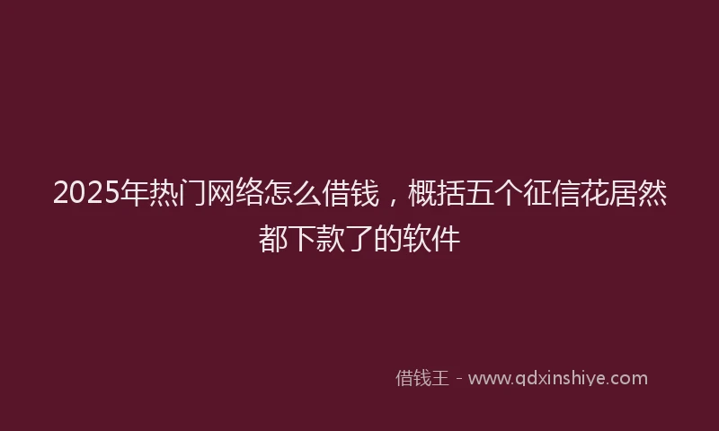 2025年热门网络怎么借钱，概括五个征信花居然都下款了的软件