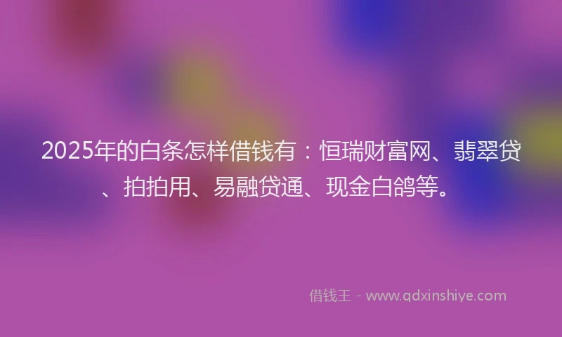 2025年的白条怎样借钱有：恒瑞财富网、翡翠贷、拍拍用、易融贷通、现金白鸽等。