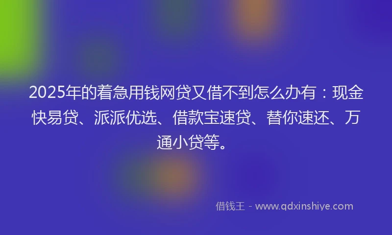 2025年的着急用钱网贷又借不到怎么办有：现金快易贷、派派优选、借款宝速贷、替你速还、万通小贷等。