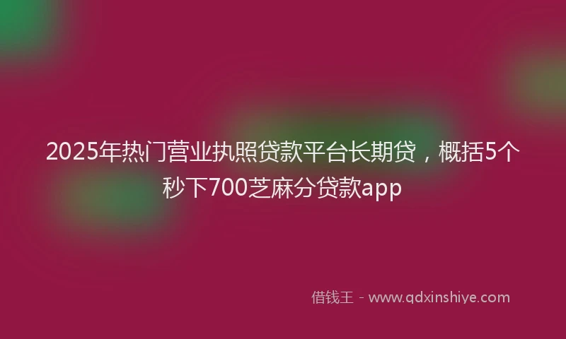 2025年热门营业执照贷款平台长期贷，概括5个秒下700芝麻分贷款app