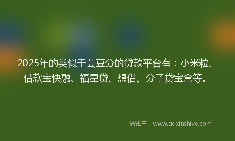2025年的类似于芸豆分的贷款平台有：小米粒、借款宝快融、福星贷、想借、分子贷宝盒等。