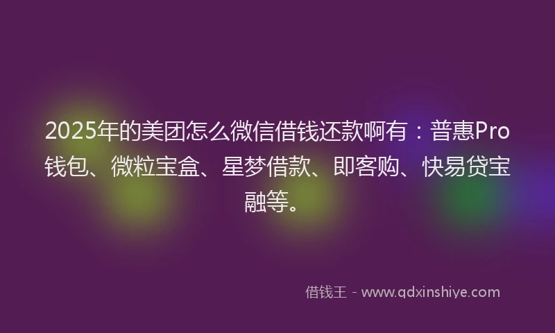 2025年的美团怎么微信借钱还款啊有：普惠Pro钱包、微粒宝盒、星梦借款、即客购、快易贷宝融等。