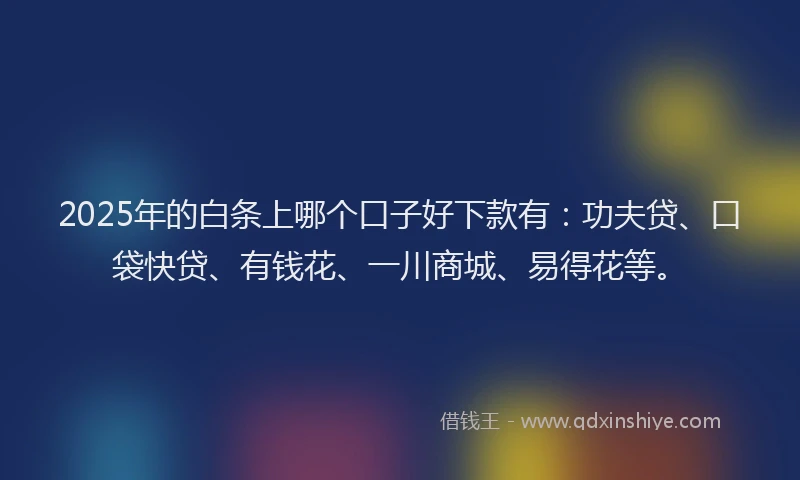 2025年的白条上哪个口子好下款有：功夫贷、口袋快贷、有钱花、一川商城、易得花等。