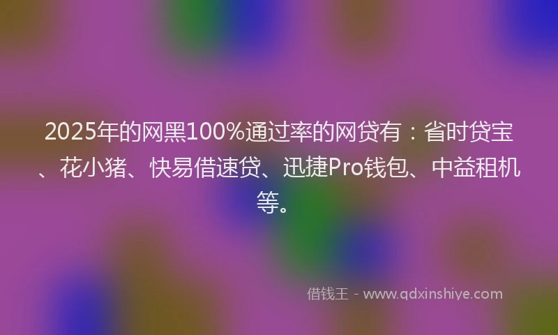 2025年的网黑100%通过率的网贷有：省时贷宝、花小猪、快易借速贷、迅捷Pro钱包、中益租机等。