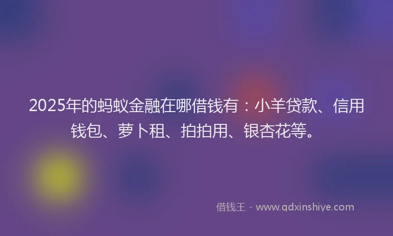 2025年的蚂蚁金融在哪借钱有：小羊贷款、信用钱包、萝卜租、拍拍用、银杏花等。