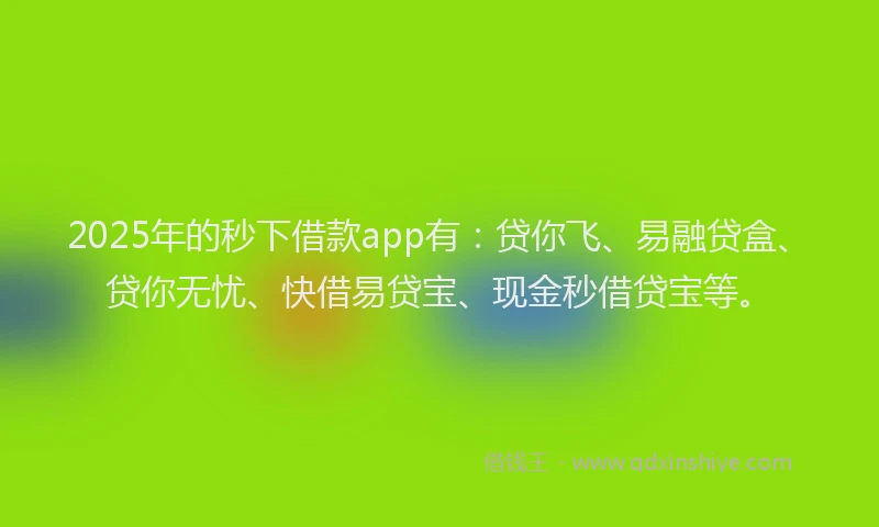 2025年的秒下借款app有：贷你飞、易融贷盒、贷你无忧、快借易贷宝、现金秒借贷宝等。