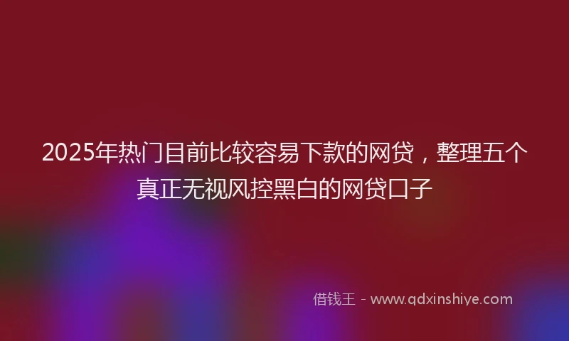 2025年热门目前比较容易下款的网贷，整理五个真正无视风控黑白的网贷口子