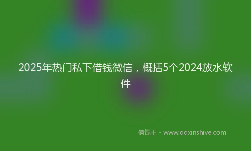 2025年热门私下借钱微信，概括5个2024放水软件