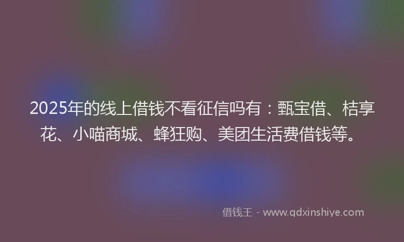 2025年的线上借钱不看征信吗有：甄宝借、桔享花、小喵商城、蜂狂购、美团生活费借钱等。