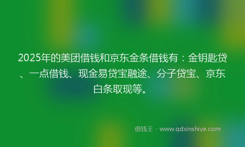 2025年的美团借钱和京东金条借钱有：金钥匙贷、一点借钱、现金易贷宝融途、分子贷宝、京东白条取现等。