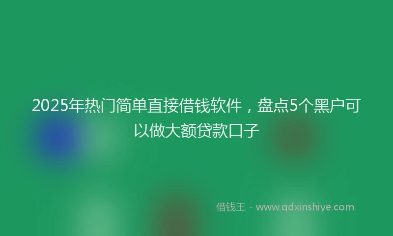 2025年热门简单直接借钱软件，盘点5个黑户可以做大额贷款口子