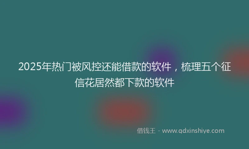 2025年热门被风控还能借款的软件，梳理五个征信花居然都下款的软件