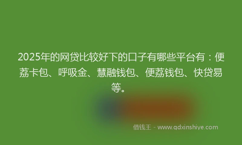 2025年的网贷比较好下的口子有哪些平台有：便荔卡包、呼吸金、慧融钱包、便荔钱包、快贷易等。