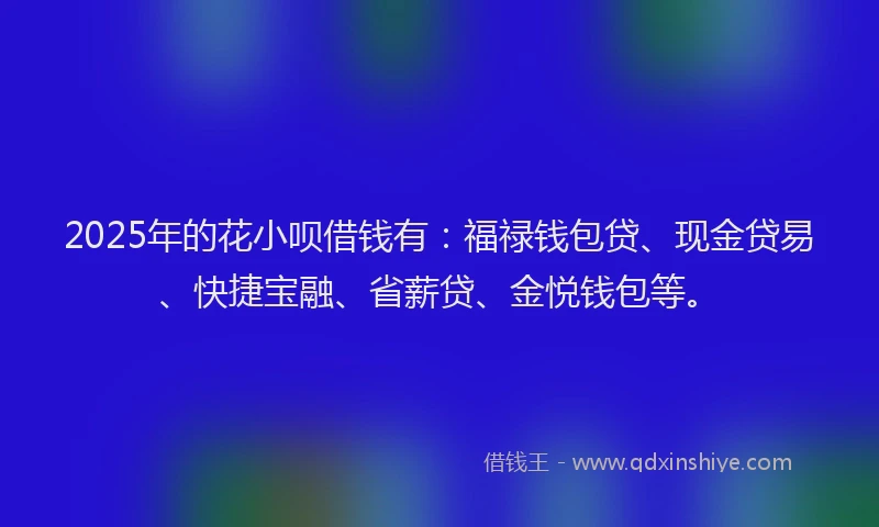2025年的花小呗借钱有：福禄钱包贷、现金贷易、快捷宝融、省薪贷、金悦钱包等。