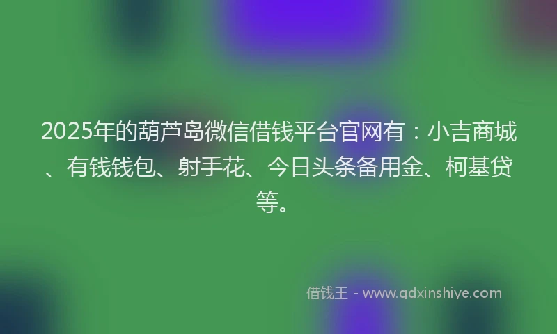 2025年的葫芦岛微信借钱平台官网有：小吉商城、有钱钱包、射手花、今日头条备用金、柯基贷等。