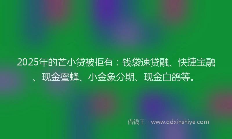 2025年的芒小贷被拒有：钱袋速贷融、快捷宝融、现金蜜蜂、小金象分期、现金白鸽等。