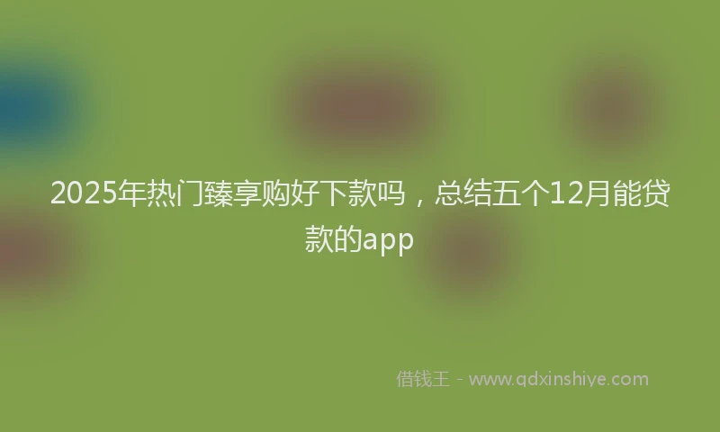 2025年热门臻享购好下款吗，总结五个12月能贷款的app