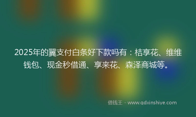 2025年的翼支付白条好下款吗有：桔享花、维维钱包、现金秒借通、享来花、森泽商城等。