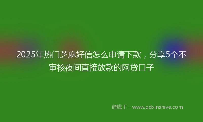 2025年热门芝麻好信怎么申请下款，分享5个不审核夜间直接放款的网贷口子